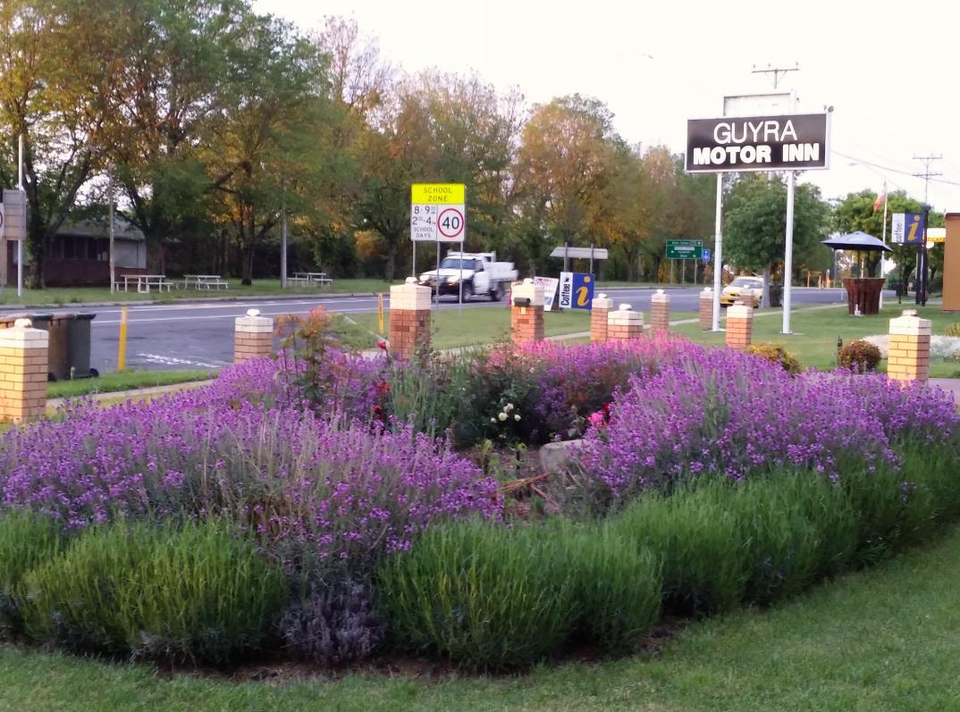 Guyra Motor Inn Buitenkant foto