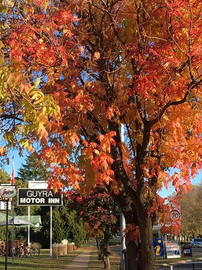 Guyra Motor Inn Buitenkant foto